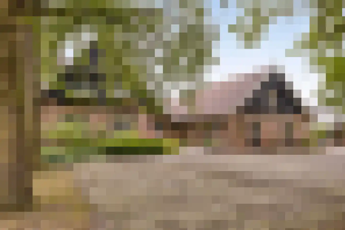Vikkerhoekweg 65 Hengelo thumbnail 74