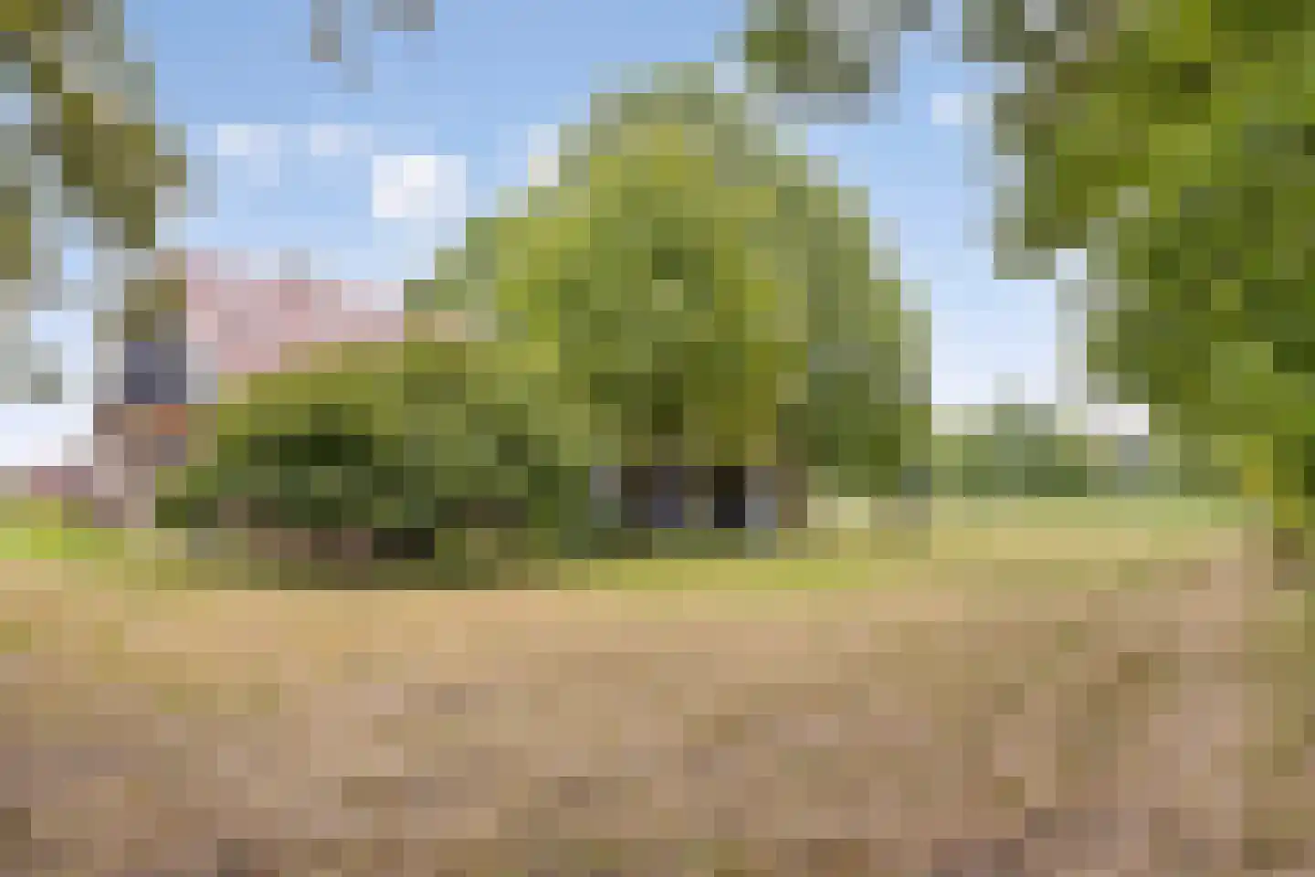 Vikkerhoekweg 65 Hengelo thumbnail 75