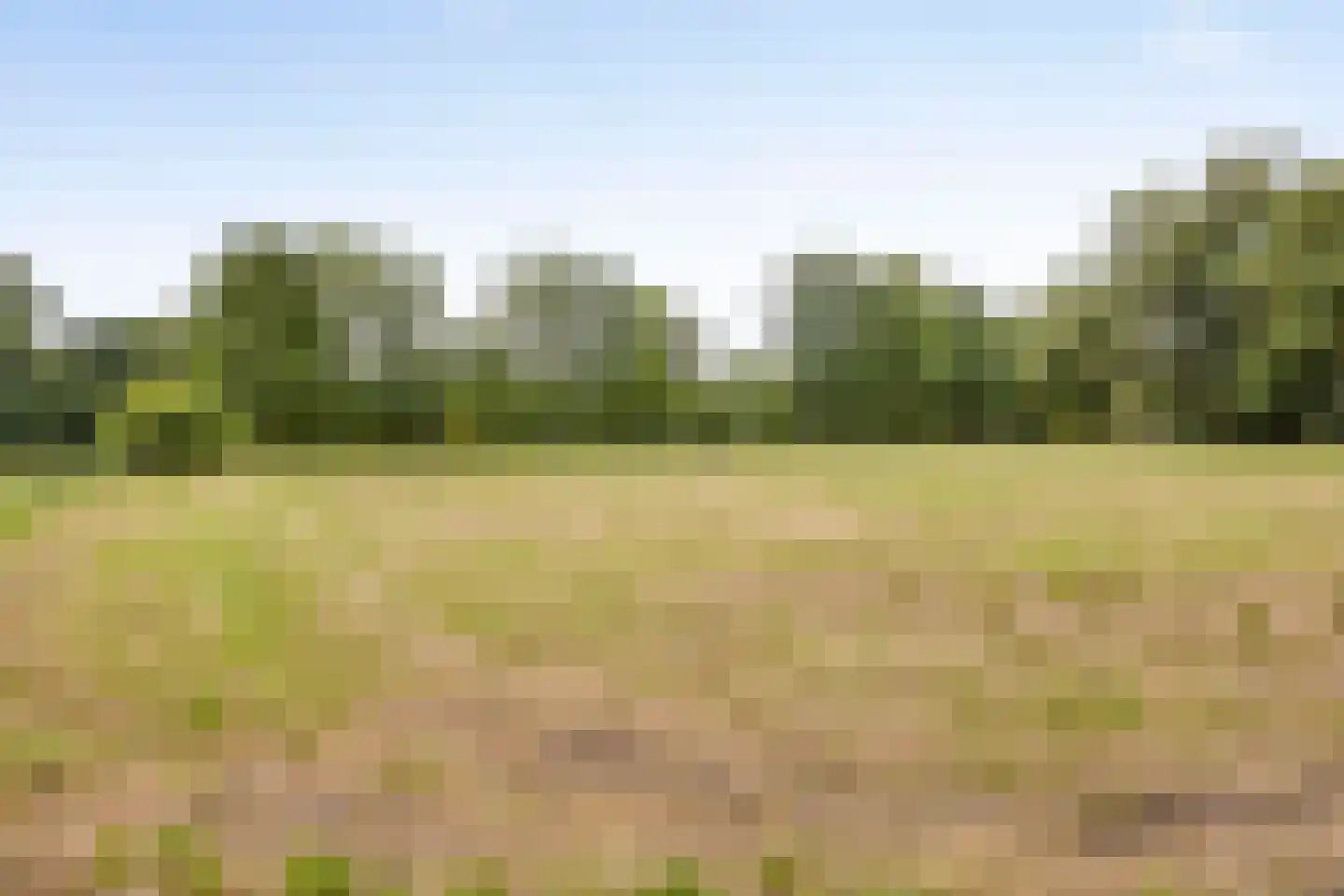 Vikkerhoekweg 65 Hengelo thumbnail 78