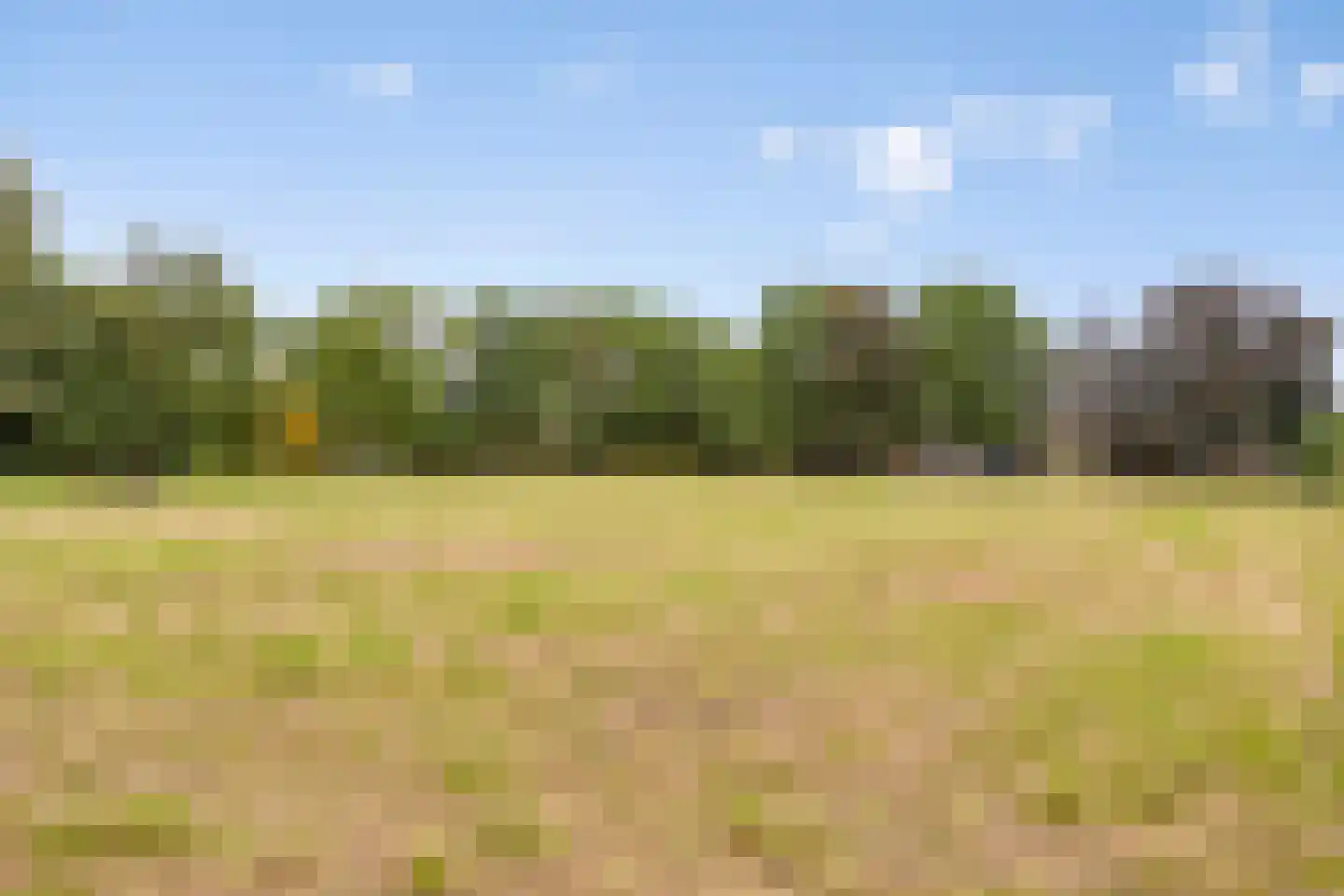 Vikkerhoekweg 65 Hengelo thumbnail 79