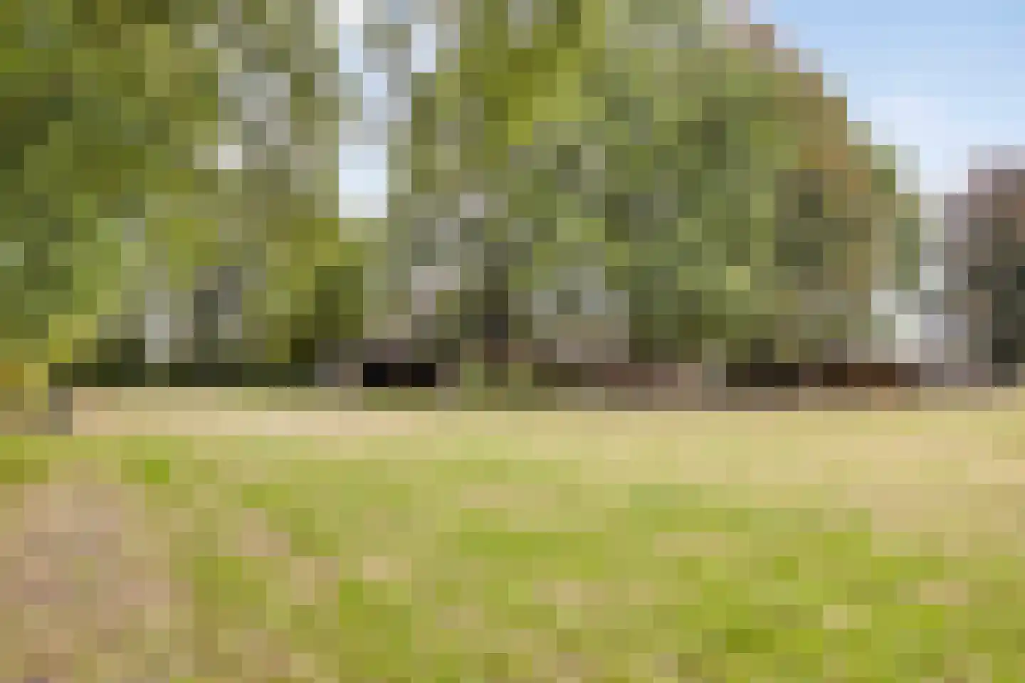 Vikkerhoekweg 65 Hengelo thumbnail 81