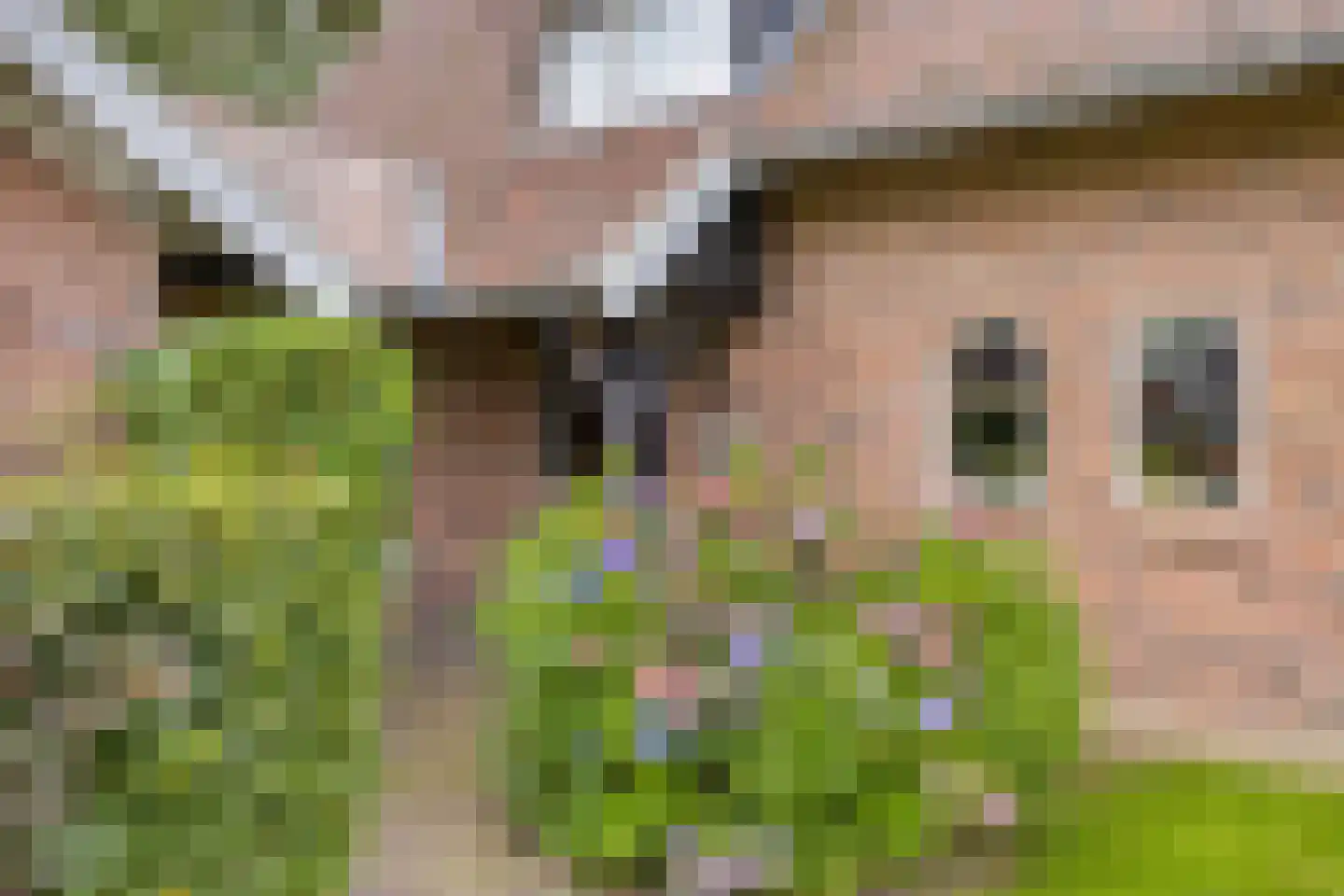 Vikkerhoekweg 65 Hengelo thumbnail 9