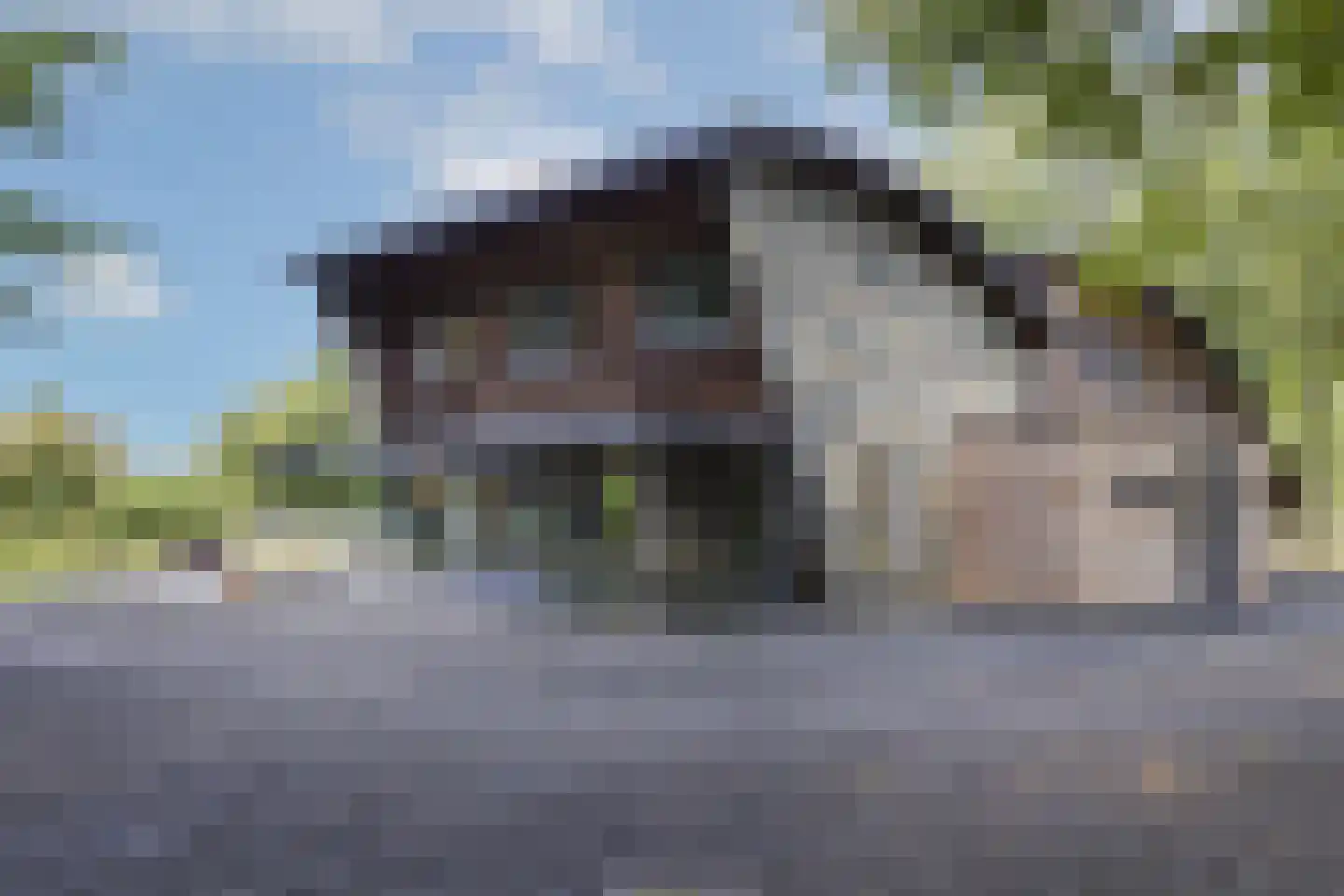 Vikkerhoekweg 73 Hengelo thumbnail 56
