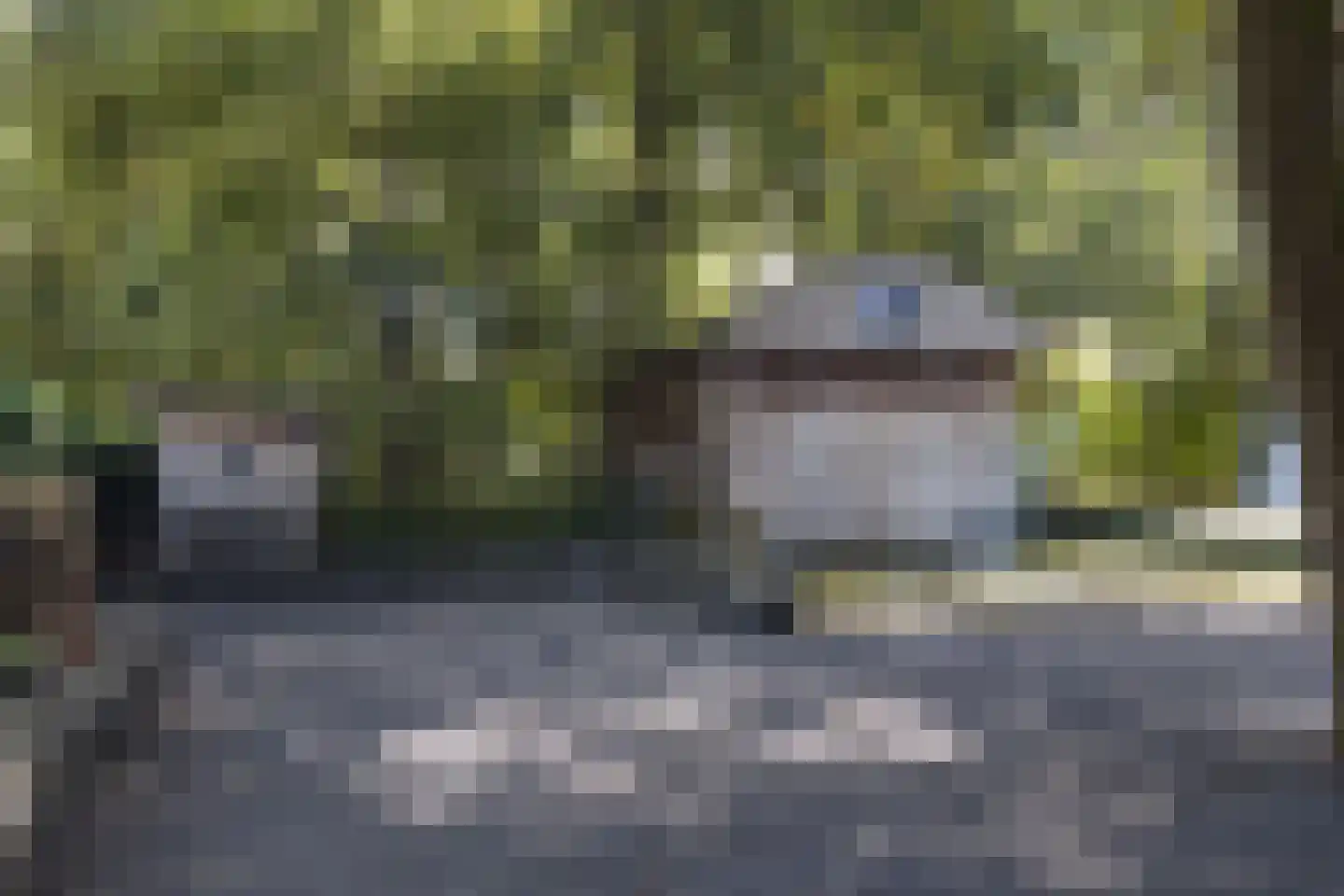 Vikkerhoekweg 73 Hengelo thumbnail 62