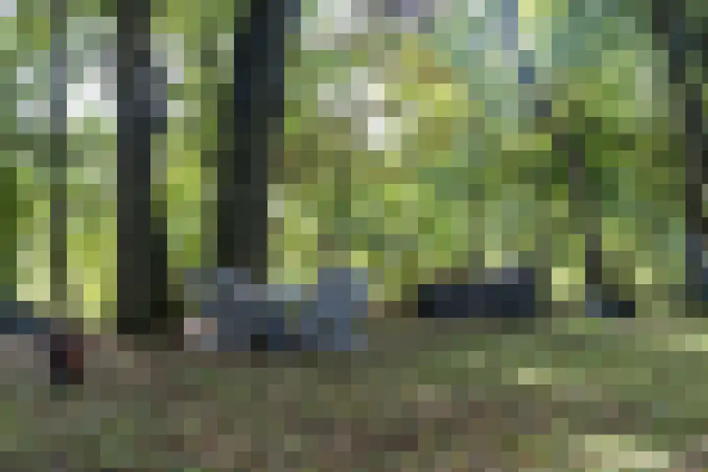 Vikkerhoekweg 73 Hengelo thumbnail 64