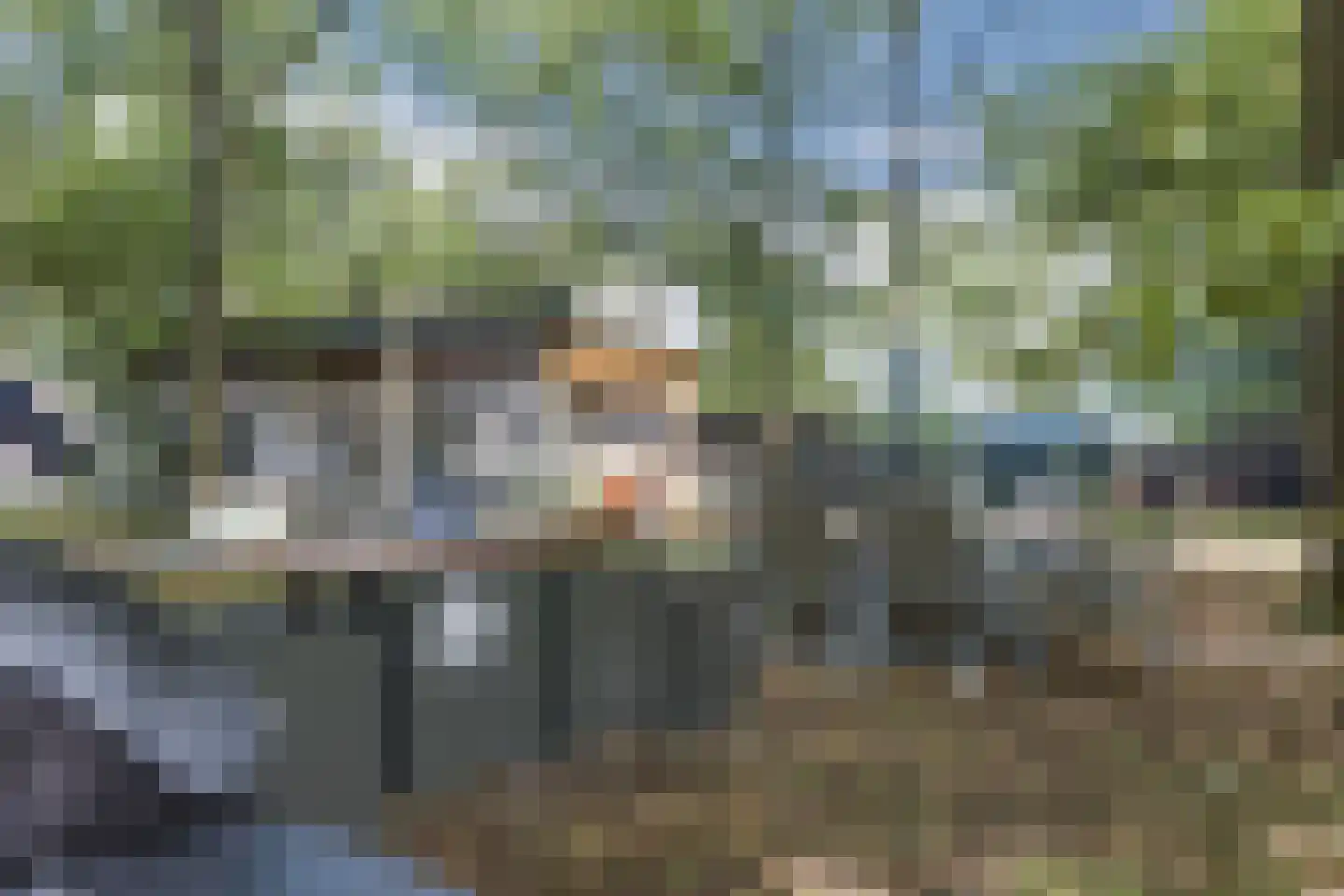 Vikkerhoekweg 73 Hengelo thumbnail 66