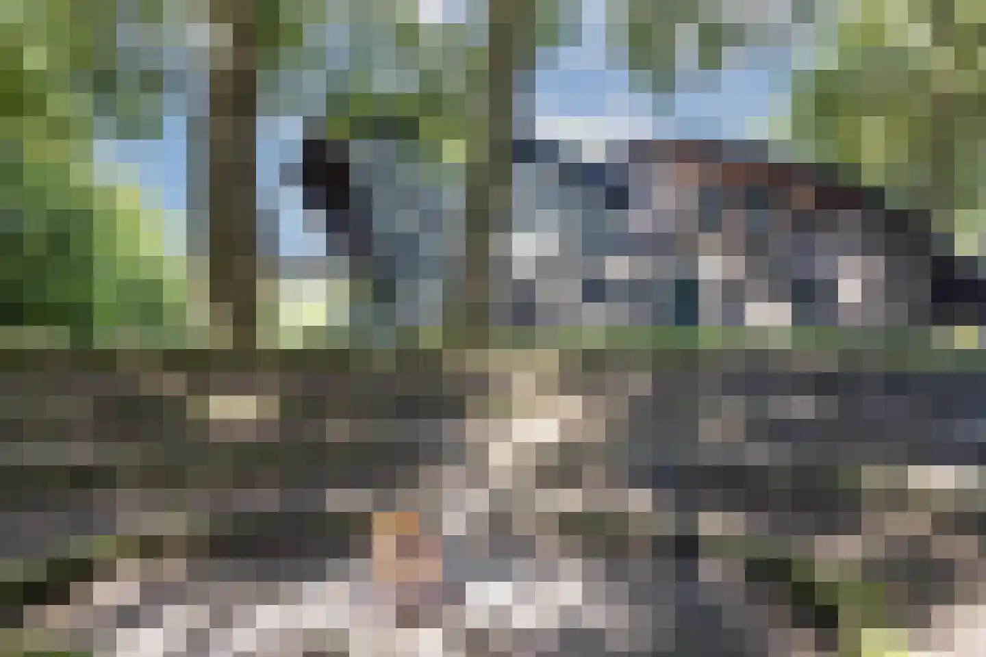 Vikkerhoekweg 73 Hengelo thumbnail 67