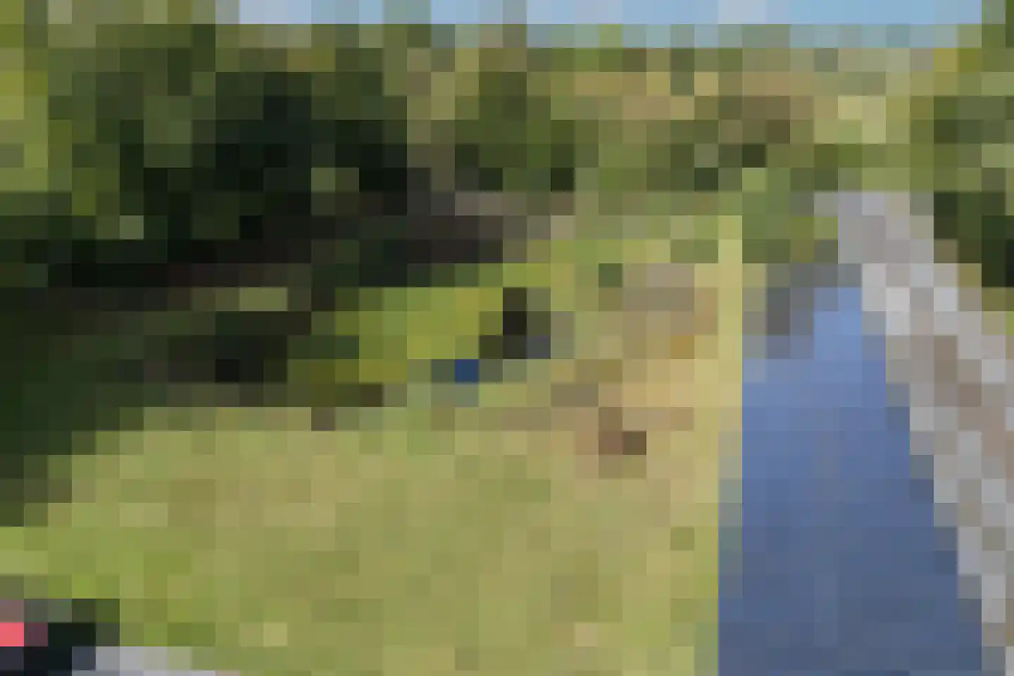Vikkerhoekweg 73 Hengelo thumbnail 72