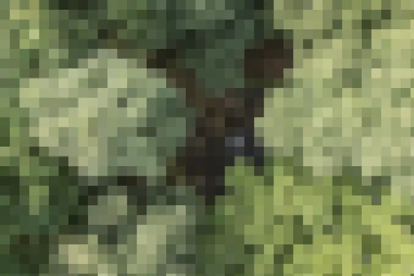 Vikkerhoekweg 73 Hengelo thumbnail 73