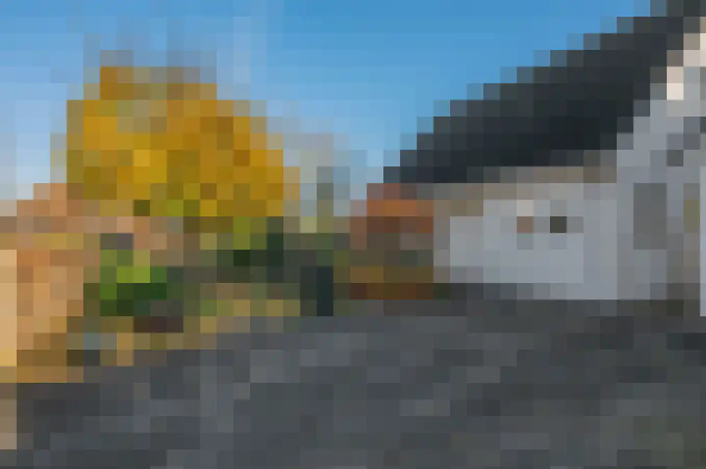 Vikna 5 Blauwestad thumbnail 20