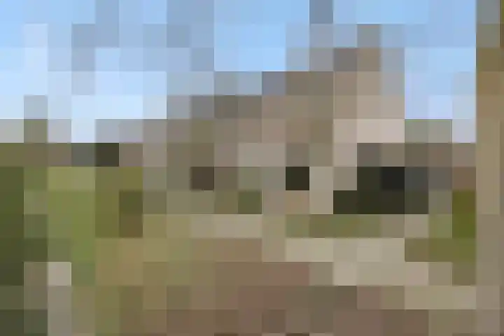 Vilderdijk 72 in Oss