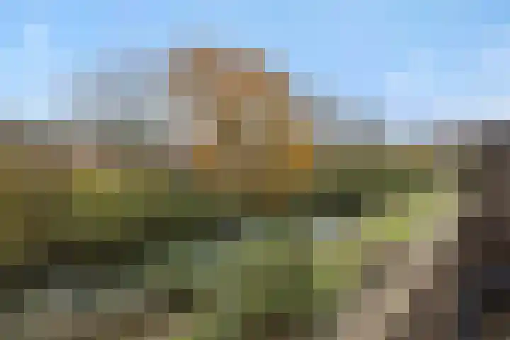 Vilderdijk 72 Oss thumbnail 18
