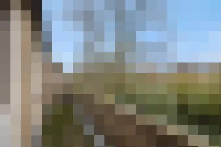 Vilderdijk 72 Oss thumbnail 19