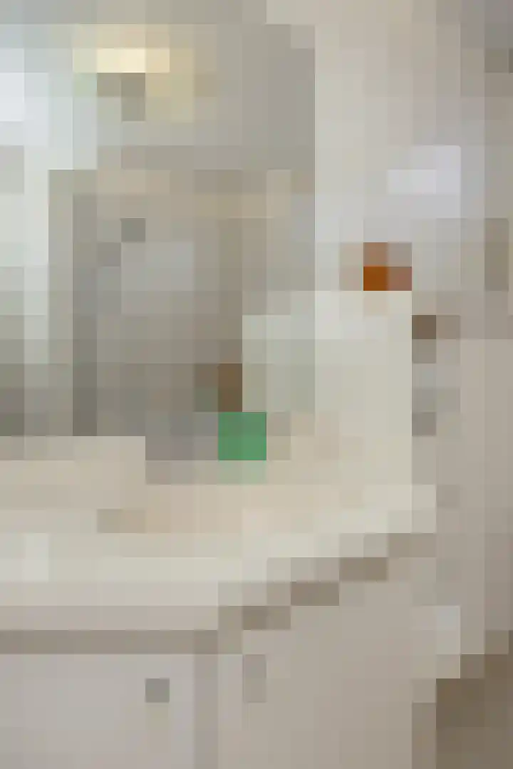 Vilderdijk 72 Oss thumbnail 25