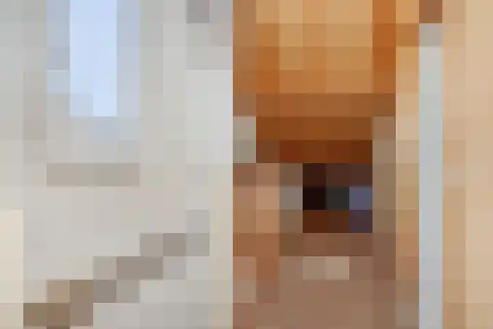 Vilderdijk 72 Oss thumbnail 28