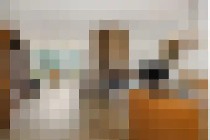 Vilderdijk 72 Oss foto 3