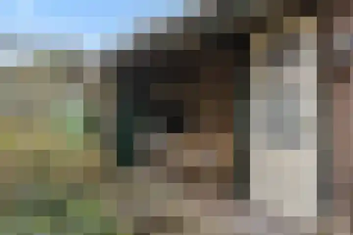 Vilderdijk 72 Oss thumbnail 33