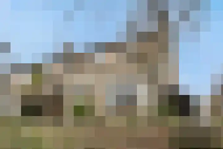 Vilderdijk 72 Oss thumbnail 39