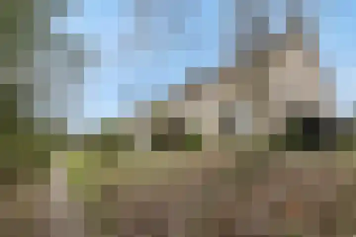 Vilderdijk 72 Oss thumbnail 40