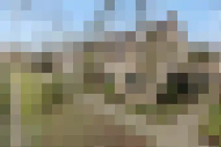 Vilderdijk 72 Oss thumbnail 41