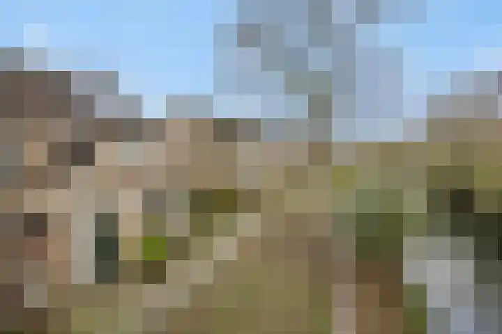 Vilderdijk 72 Oss thumbnail 44