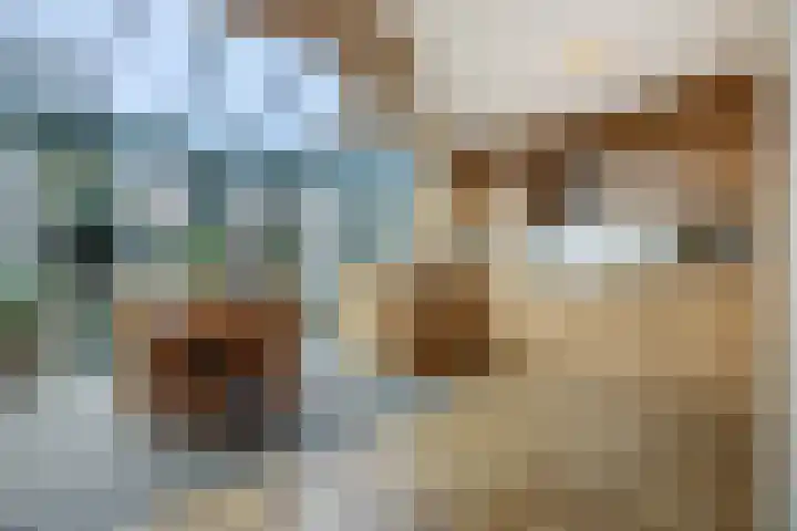 Vilderdijk 72 Oss thumbnail 5