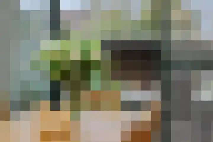 Vilderdijk 72 Oss thumbnail 6
