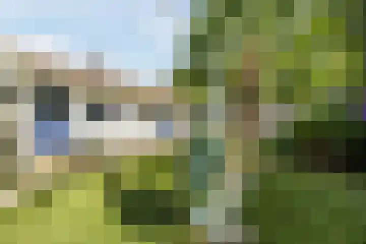 Vilderstraat 4 Veldhoven thumbnail 36
