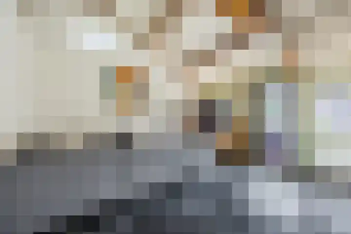 Vilderstraat 4 Veldhoven thumbnail 37