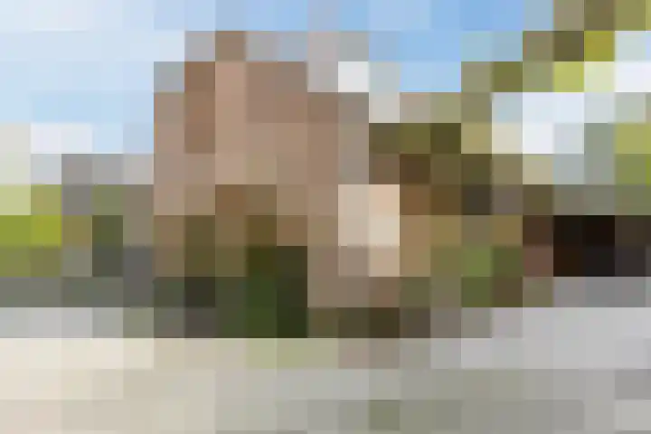 Vilderstraat 4 Veldhoven thumbnail 4