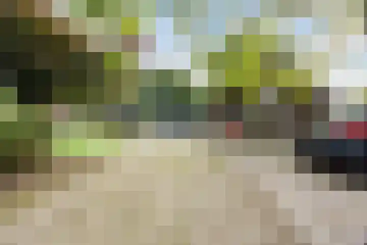Vilderstraat 4 Veldhoven thumbnail 41