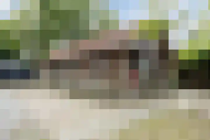 Vilderstraat 4 Veldhoven thumbnail 42