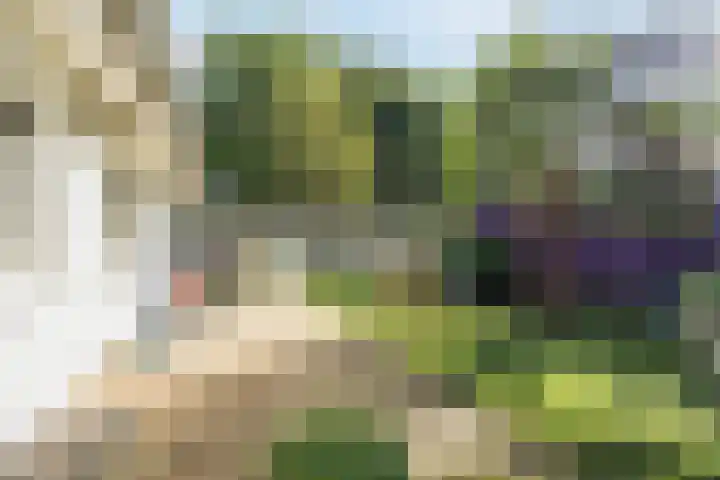 Vilderstraat 4 Veldhoven thumbnail 44