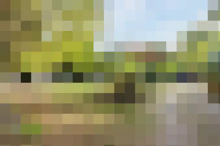Vilderstraat 4 Veldhoven thumbnail 53