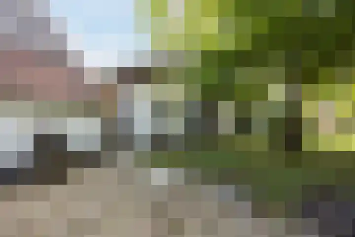 Vilderstraat 4 Veldhoven thumbnail 55