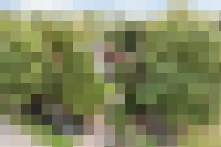 Vilderstraat 4 Veldhoven thumbnail 67