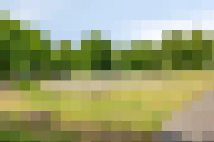 Vildersveenweg 14 Nijverdal thumbnail 28