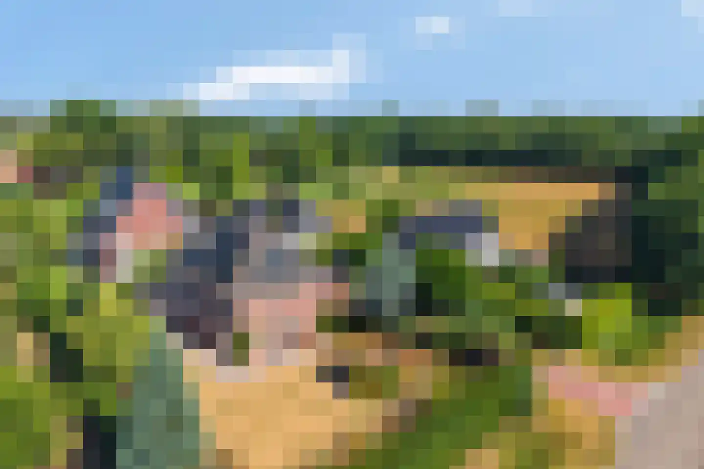 Vilgert 40 E Velden thumbnail 39