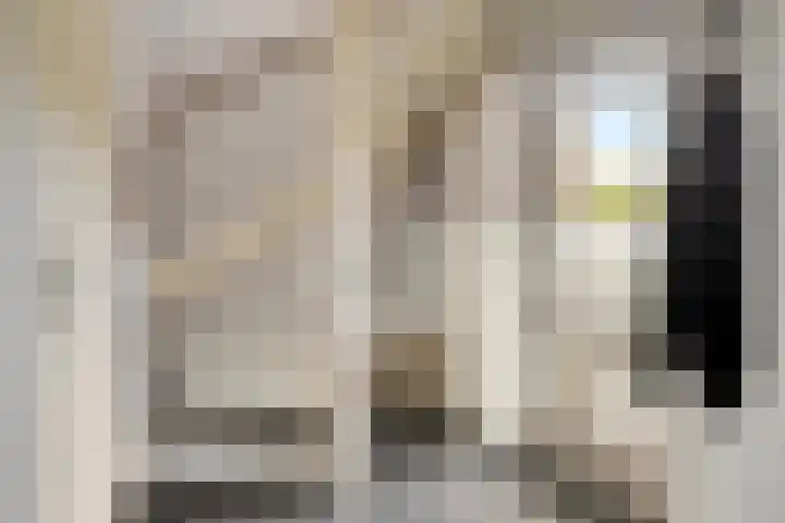 Vilheidehof 12 Mill thumbnail 13