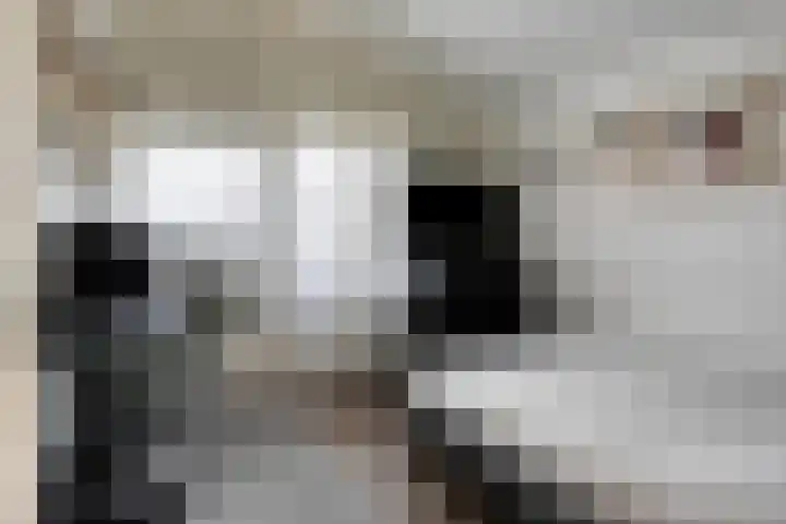 Vilheidehof 12 Mill thumbnail 21