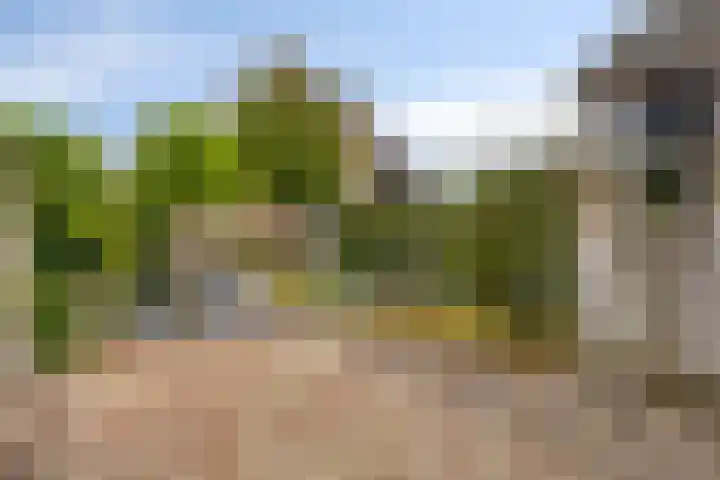 Vilheidehof 12 Mill thumbnail 27