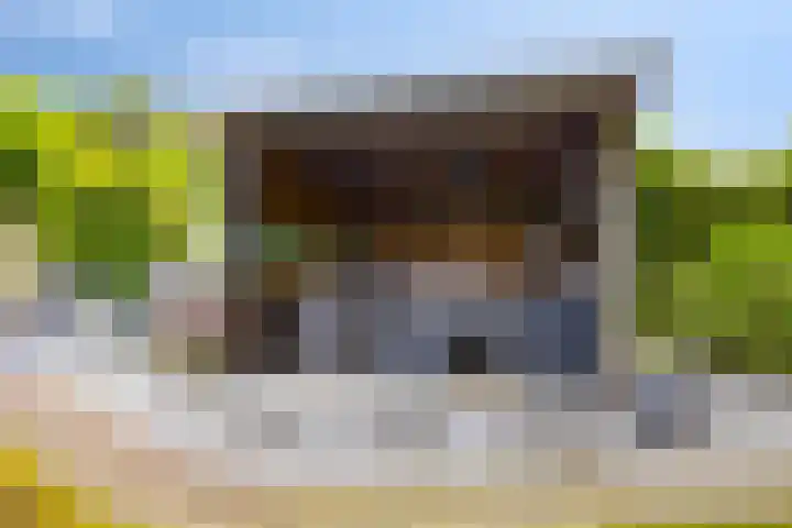 Vilheidehof 12 Mill thumbnail 29