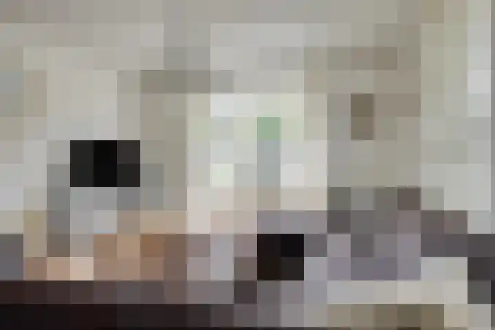 Vilheidehof 12 Mill thumbnail 5
