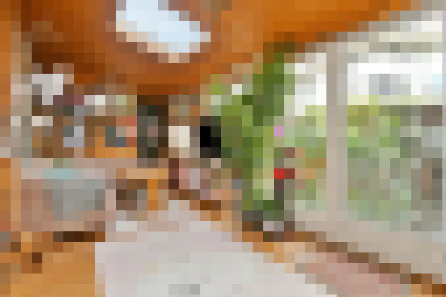 Viljoenstraat 15 Den Haag thumbnail 20