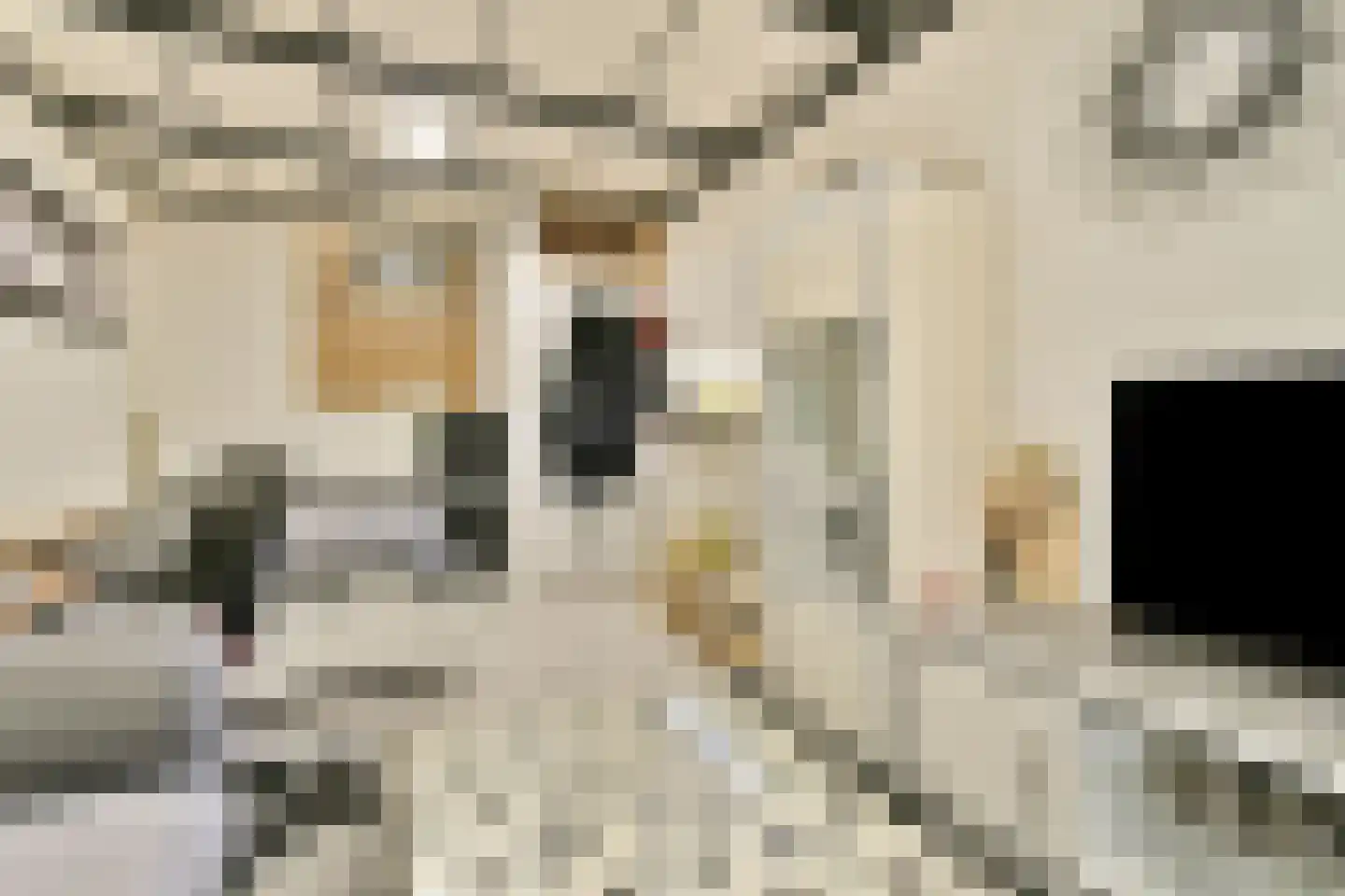 Viljoenstraat 15 Den Haag thumbnail 6