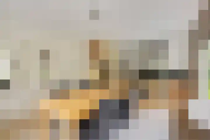 Villa Bertha 12 Angerlo thumbnail 10