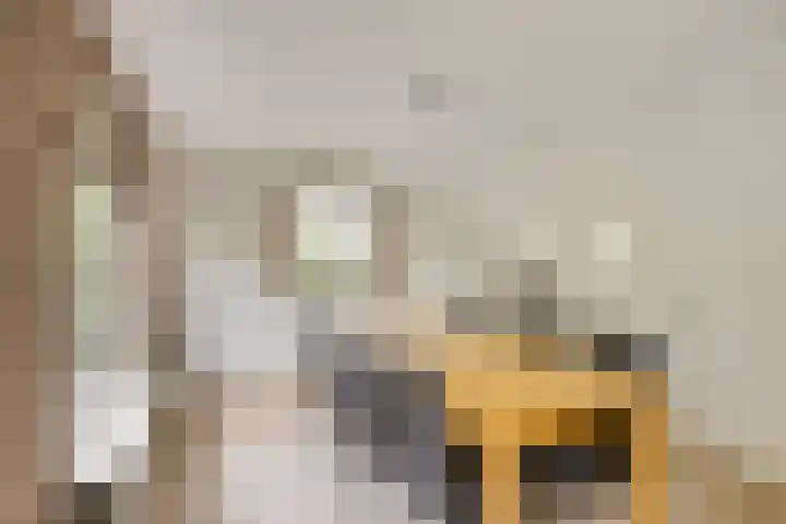 Villa Bertha 12 Angerlo thumbnail 9