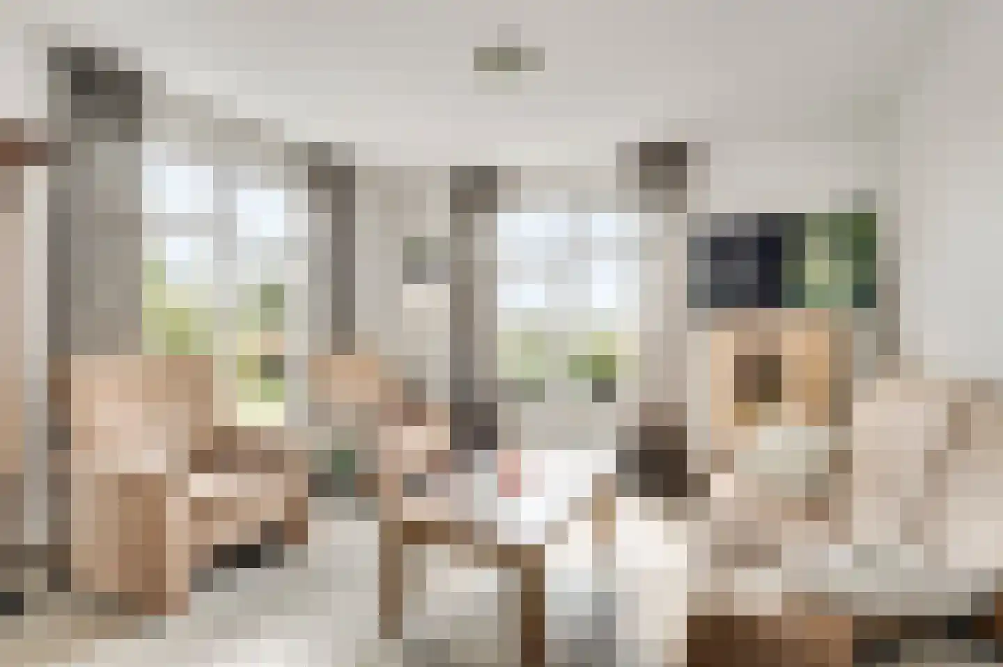 Villa Bethulaweg 14 Linne thumbnail 13