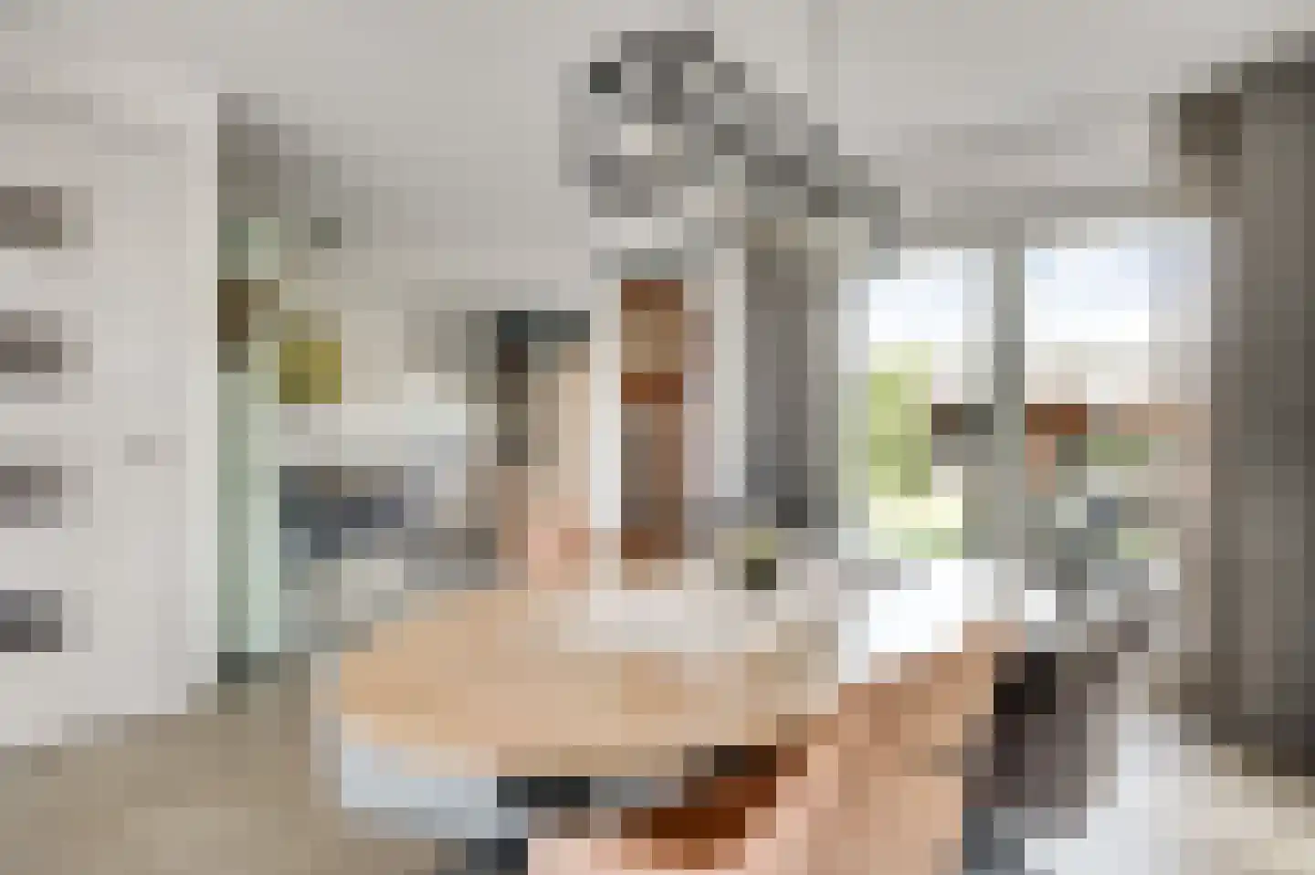 Villa Bethulaweg 14 Linne thumbnail 17