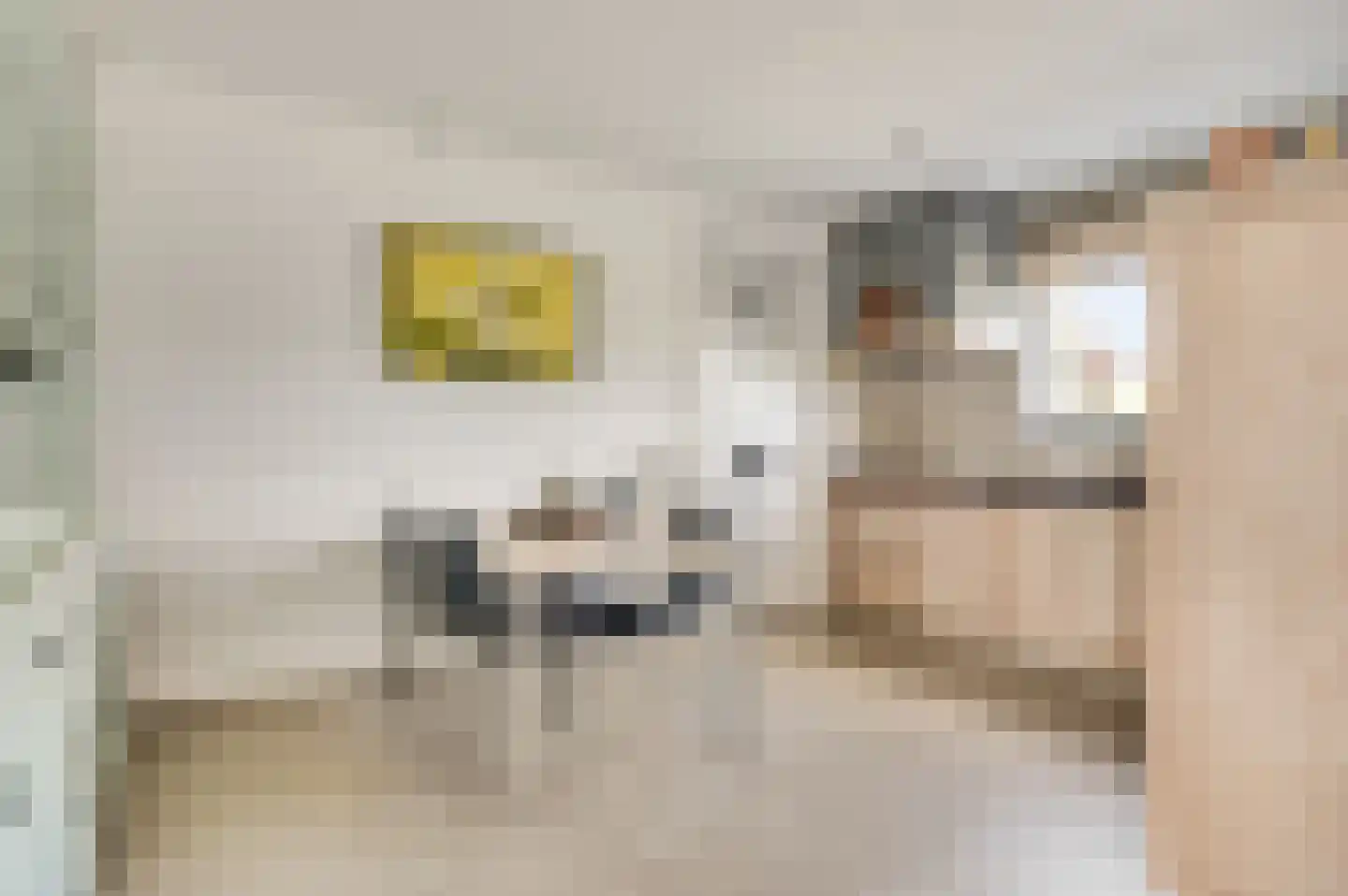 Villa Bethulaweg 14 Linne thumbnail 18